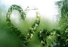 利物浦主场击败南安普顿，继续领跑射手榜