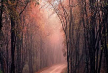 红蓝之战即将打响，球迷热血沸腾