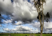 红蓝之战即将打响,球迷热血沸腾