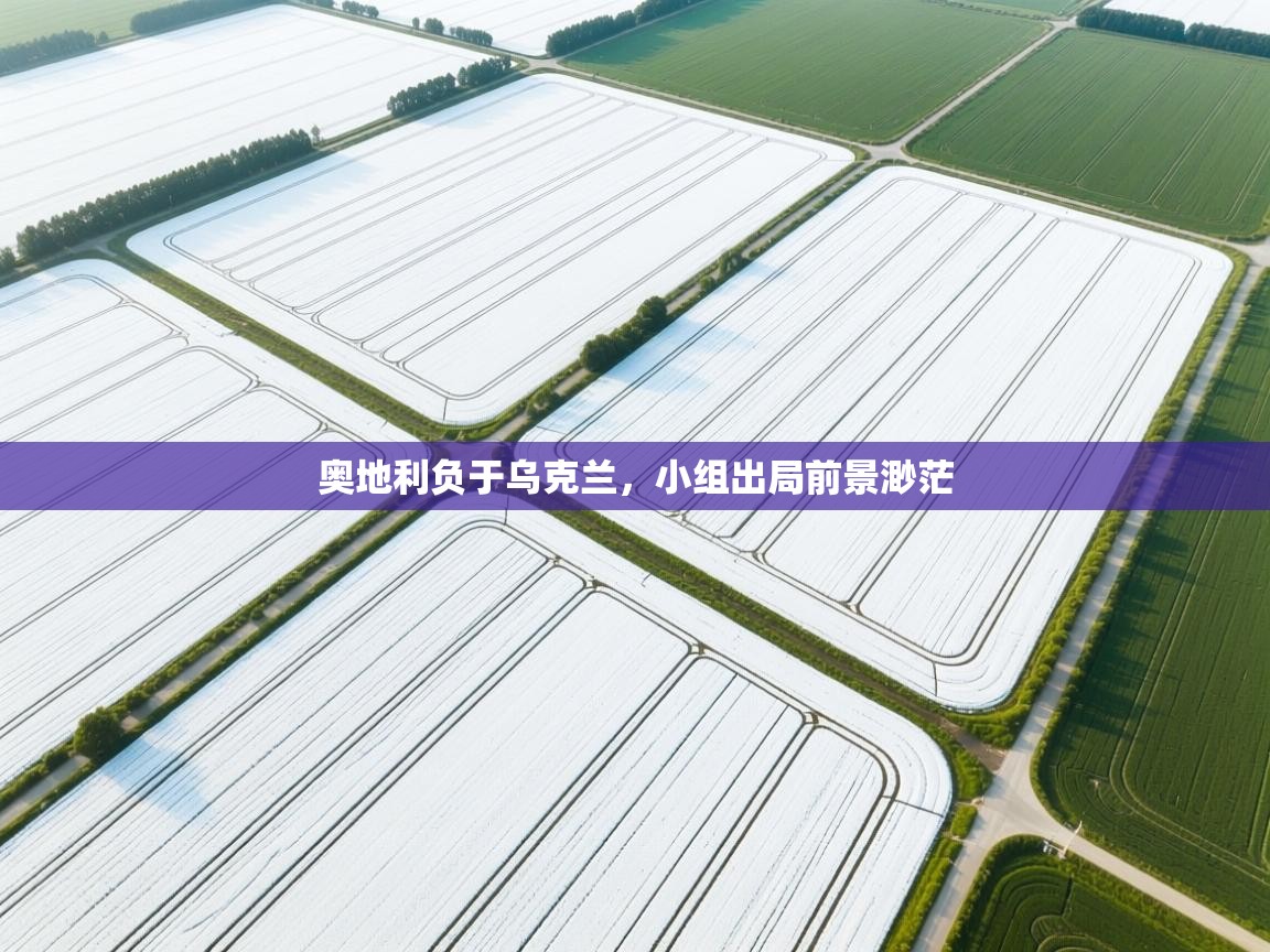 奥地利负于乌克兰，小组出局前景渺茫  第2张